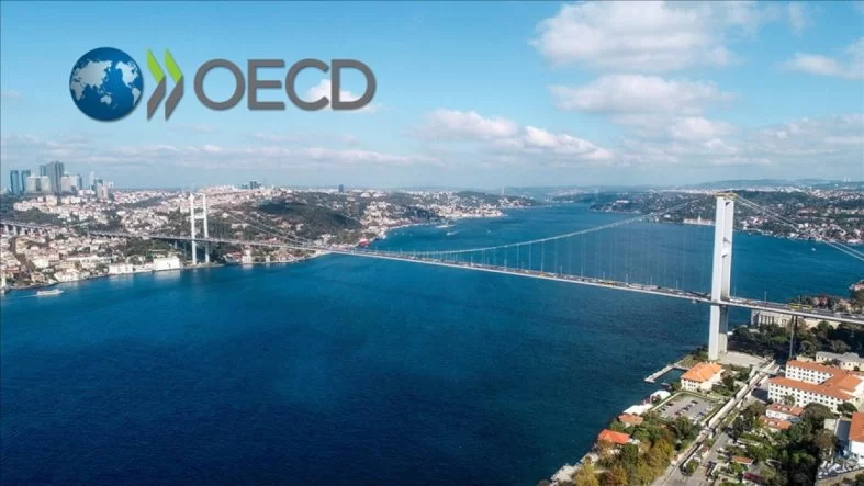 Türkiye'nin Büyüme Tahminini OECD Açıkladı