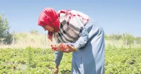 Gazete Haberi, Kadının Hayatını Baştan Yazdı