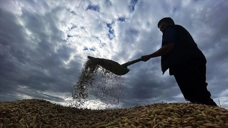 1,7 Milyar Lira Ek Destek, Zirai Don Mağdurları Üreticilere Ödenecek